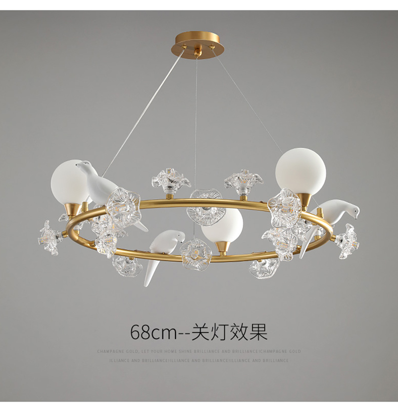 modern chandelier chandelier lighting decorative lighting fancy room light modern lamp9